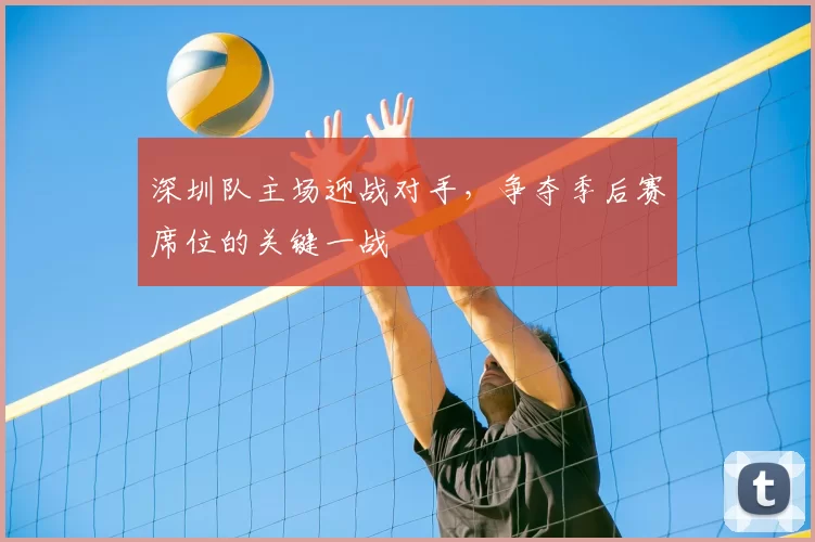 深圳队主场迎战对手，争夺季后赛席位的关键一战