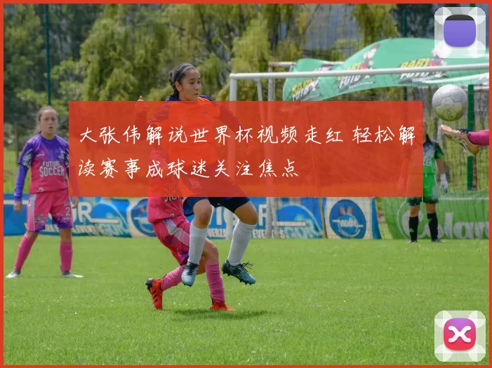 大张伟解说世界杯视频走红 轻松解读赛事成球迷关注焦点