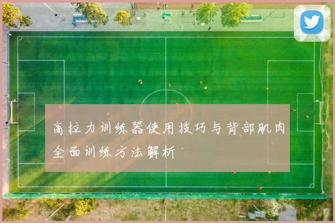 高拉力训练器使用技巧与背部肌肉全面训练方法解析