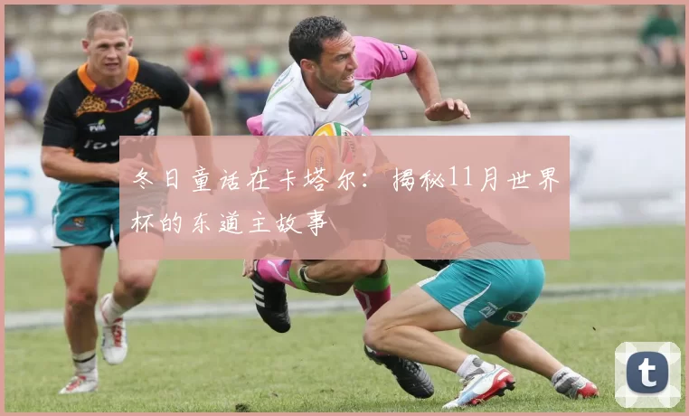 冬日童话在卡塔尔:揭秘11月世界杯的东道主故事