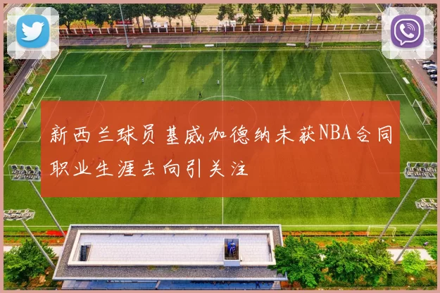 新西兰球员基威加德纳未获NBA合同职业生涯去向引关注