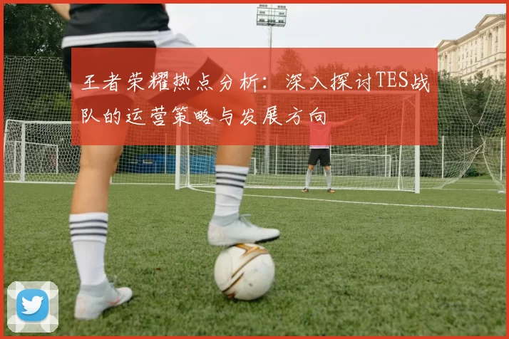 王者荣耀热点分析：深入探讨TES战队的运营策略与发展方向