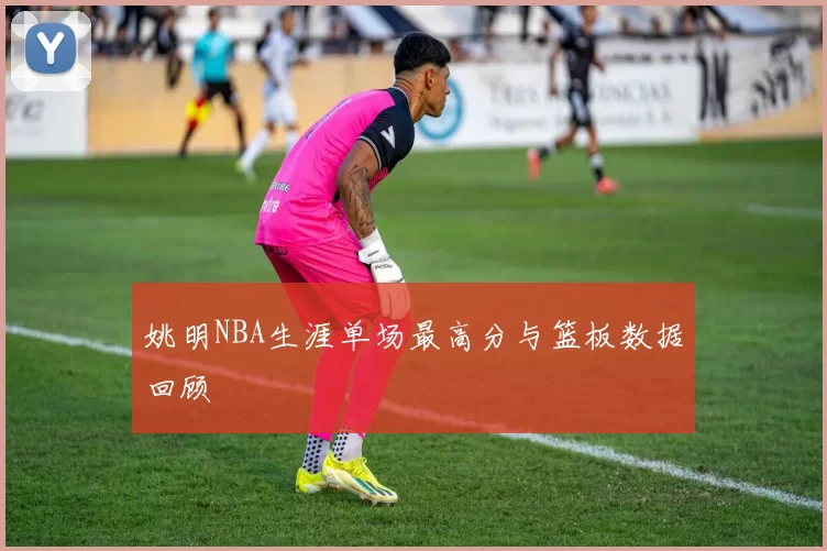 姚明NBA生涯单场最高分与篮板数据回顾