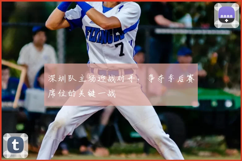 深圳队主场迎战对手，争夺季后赛席位的关键一战