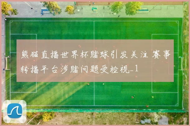 熊猫直播世界杯赌球引发关注 赛事转播平台涉赌问题受检视_1