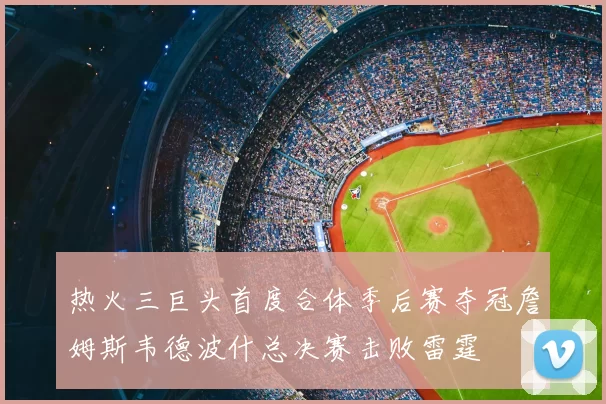 热火三巨头首度合体季后赛夺冠詹姆斯韦德波什总决赛击败雷霆