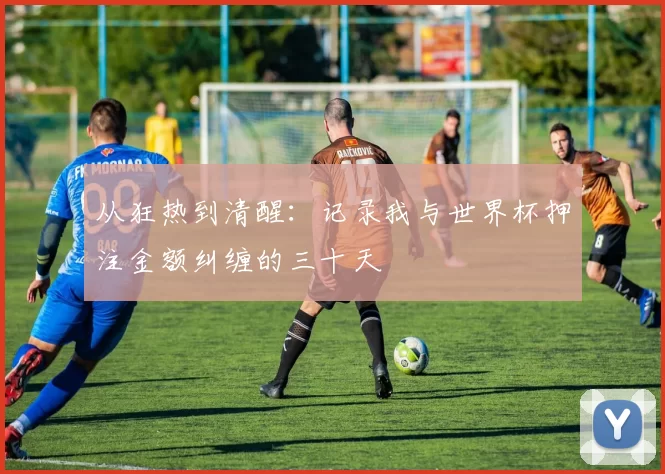 从狂热到清醒:记录我与世界杯押注金额纠缠的三十天