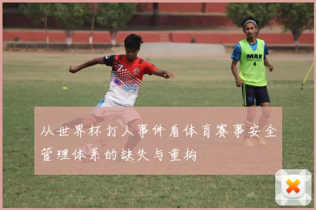 从世界杯打人事件看体育赛事安全管理体系的缺失与重构